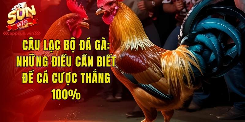 Câu Lạc Bộ Đá Gà