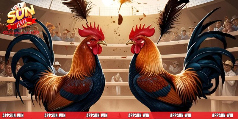 Chiến thuật đá gà tại Sunwin là gì?