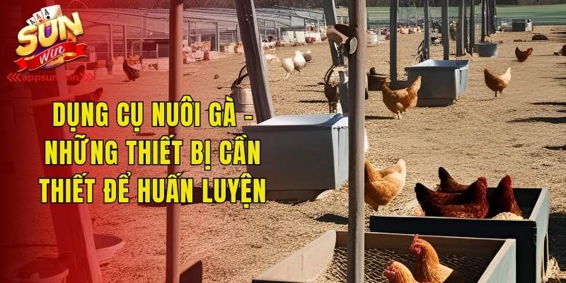 Dụng Cụ Nuôi Gà