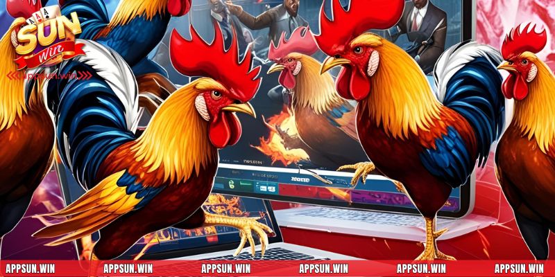 Những điểm mấu chốt cần ghi nhớ khi huấn luyện gà chiến