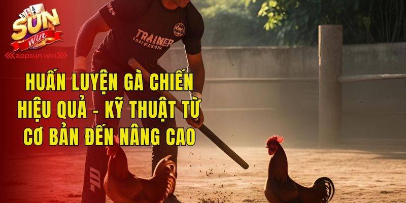 Huấn Luyện Gà