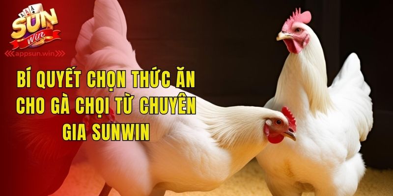 Thức Ăn Cho Gà