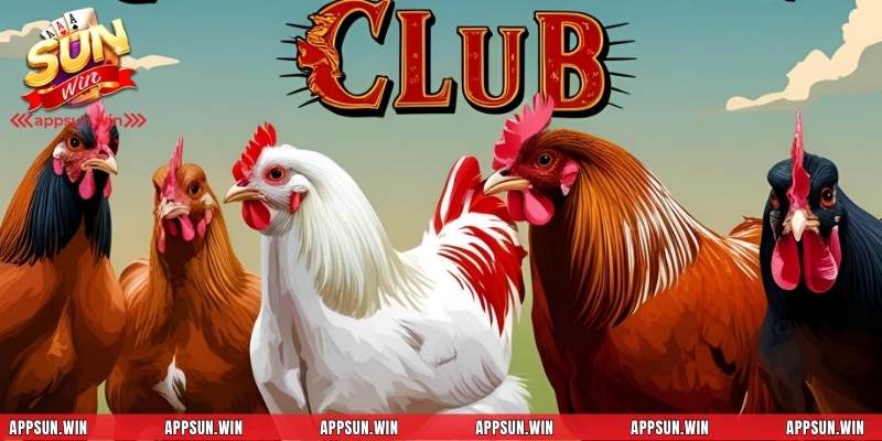 Tìm hiểu tổng quan về câu lạc bộ đá gà tại Sunwin