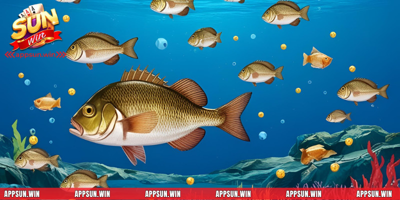 Tổng hợp một vài tính năng hữu ích nên dùng dành cho khách hàng
